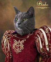 Load image into Gallery viewer, The Prince male cat portrait