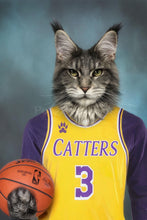 Load image into Gallery viewer, Basketball Player of your favorite team male pet portrait
