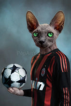 Load image into Gallery viewer, Soccer Player of your favorite team male pet portrait