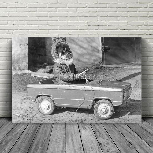 Toy car driver retro pet portrait