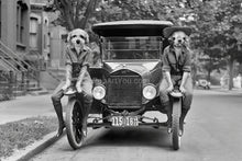 Load image into Gallery viewer, Riding the wheels retro pet portrait