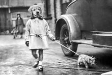 Load image into Gallery viewer, Walking a kitten retro pet portrait