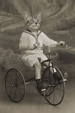 Load image into Gallery viewer, A tricycle retro pet portrait