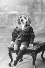Load image into Gallery viewer, On a padded stool retro pet portrait
