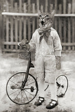 Load image into Gallery viewer, A cyclist wearing a striped suit retro pet portrait