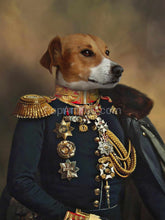 Load image into Gallery viewer, The General - custom cat portrait