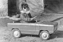 Load image into Gallery viewer, Toy car driver retro pet portrait
