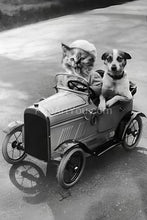 Load image into Gallery viewer, A girl with her boyfriend in the car retro pet portrait
