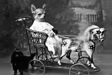 Load image into Gallery viewer, A coachman retro pet portrait
