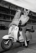 Load image into Gallery viewer, Elegant lady on Italian scooter retro pet portrait