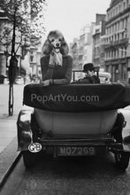 Load image into Gallery viewer, Lady in old cabriolet retro pet portrait
