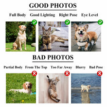 Load image into Gallery viewer, The sixth Universal family template for any family combination portrait