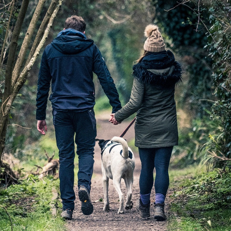 Custom royal-style pet portrait of a couple with their dogs and cats — PopArtYou gift idea