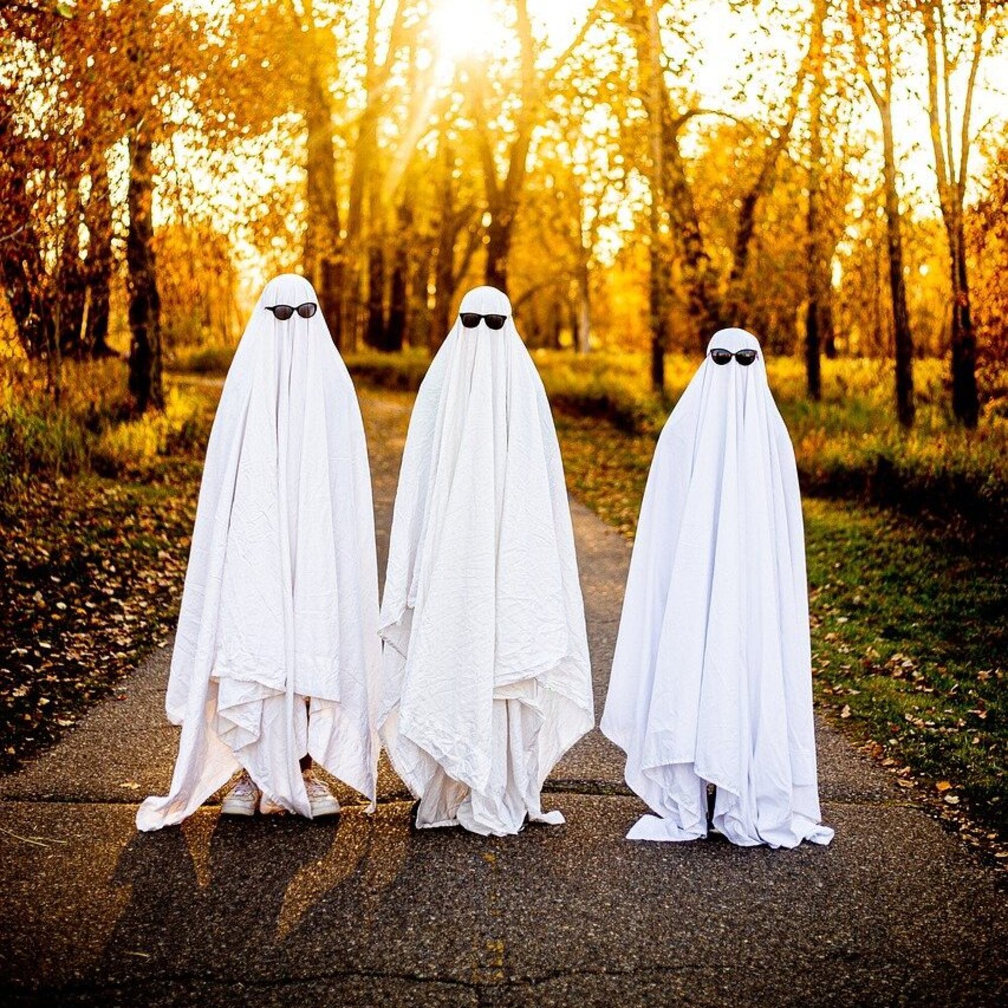 What to Wear for Halloween: 41 Halloween Costume Ideas for a Family of 3