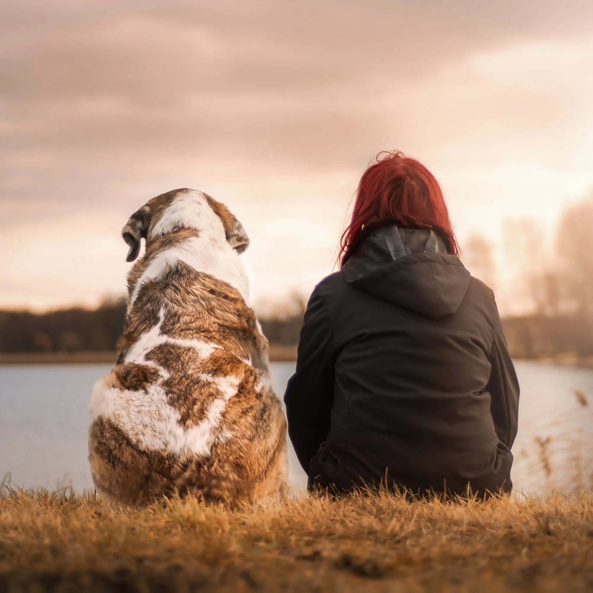 True-Friend-8-Benefits-of-Having-a-Dog PopArtYouShop