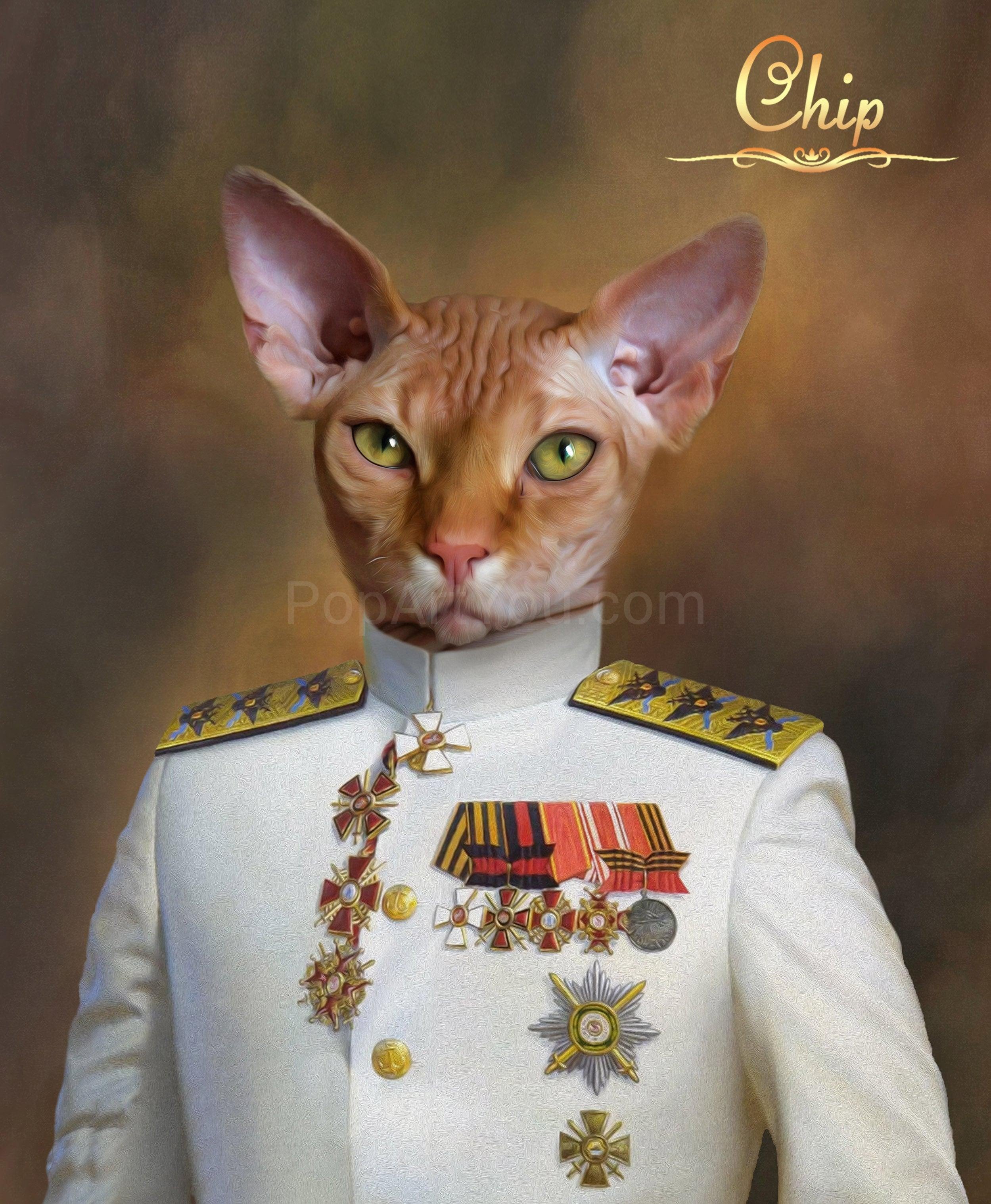 The Soldier male cat portrait