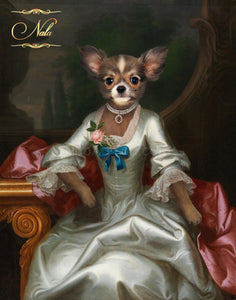 Lady in a silver dress female pet portrait