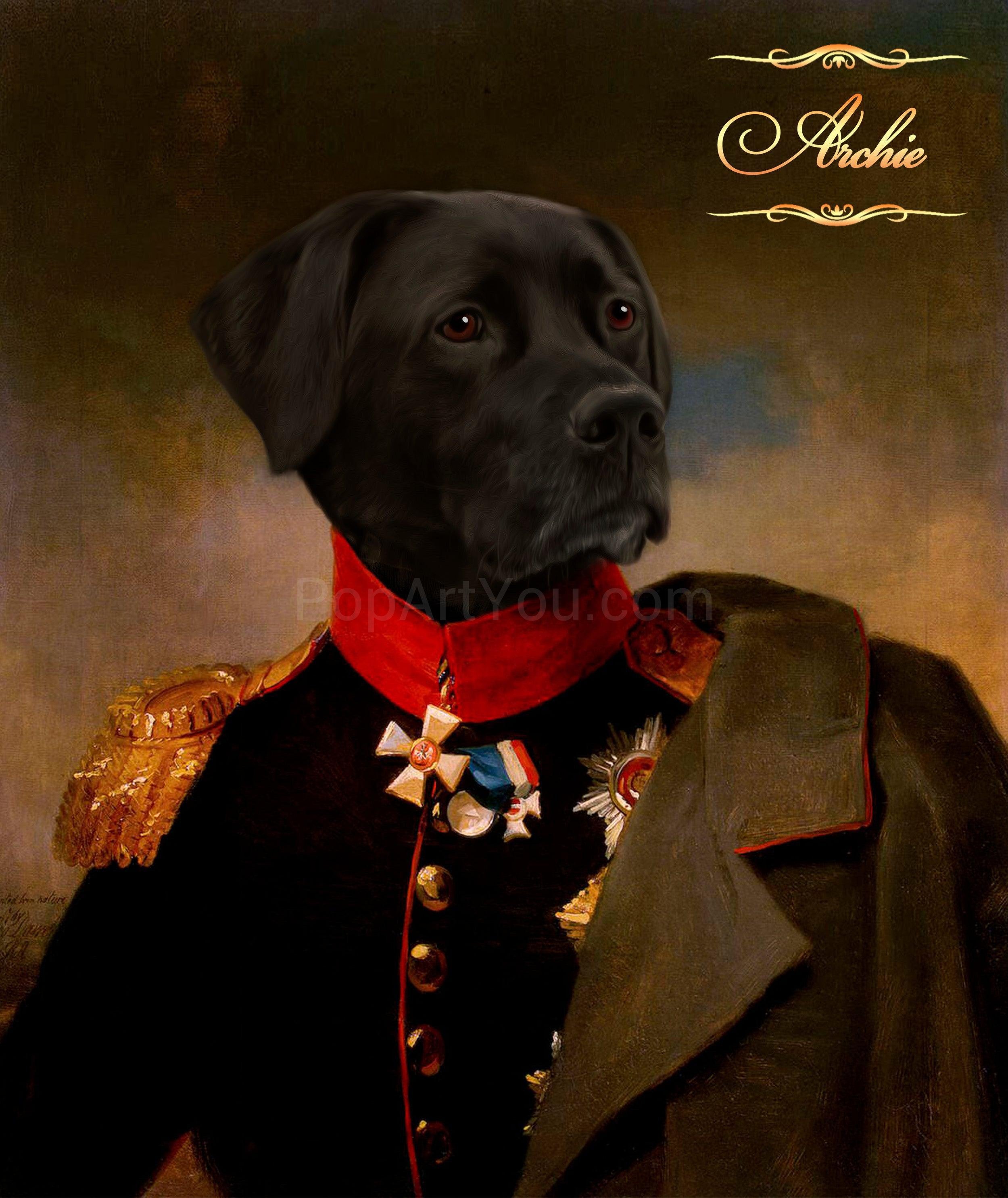 The General-Chef male pet portrait