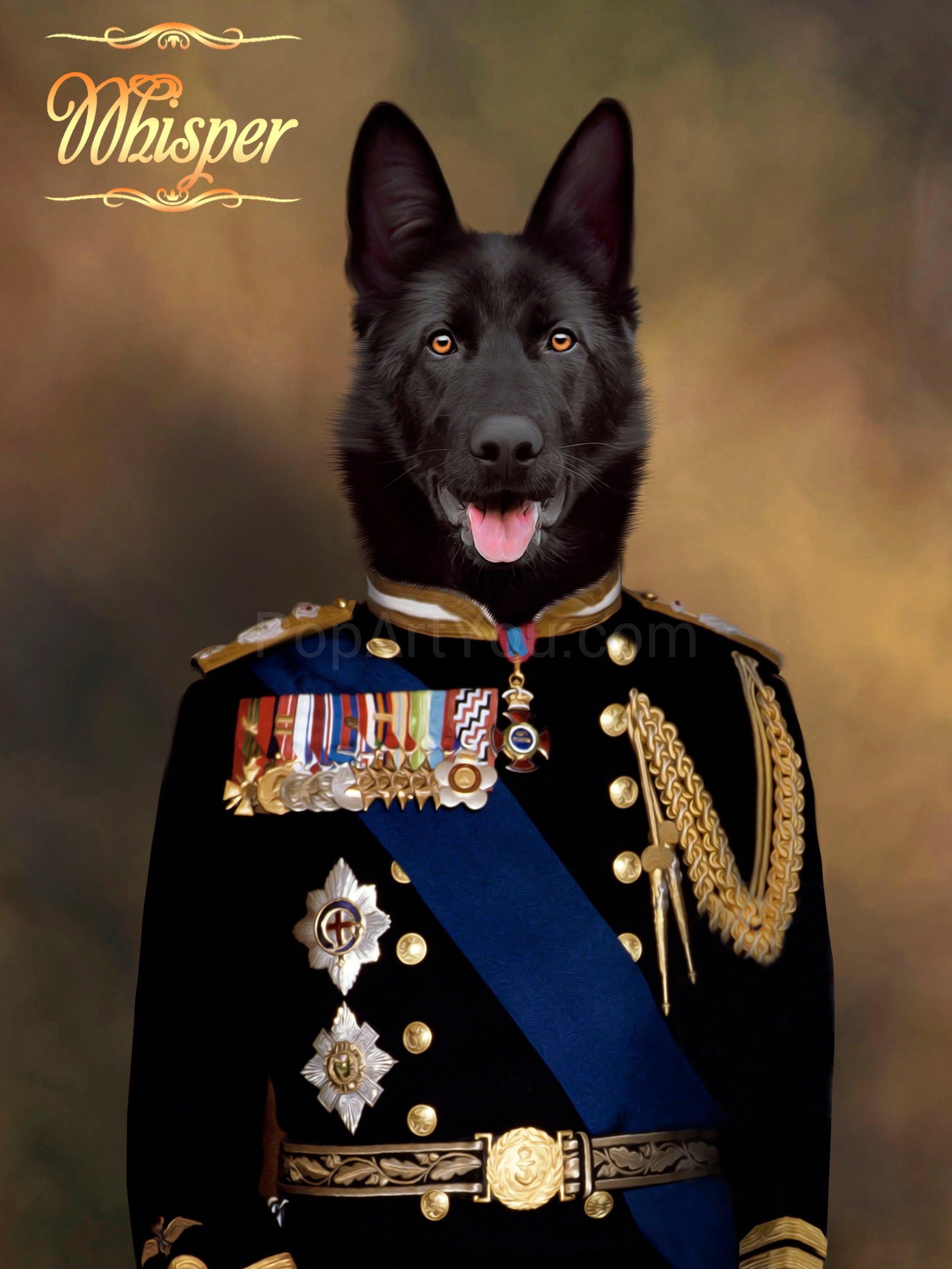 The Veteran male pet portrait