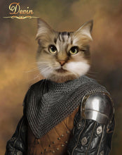 Load image into Gallery viewer, The Knight male cat portrait
