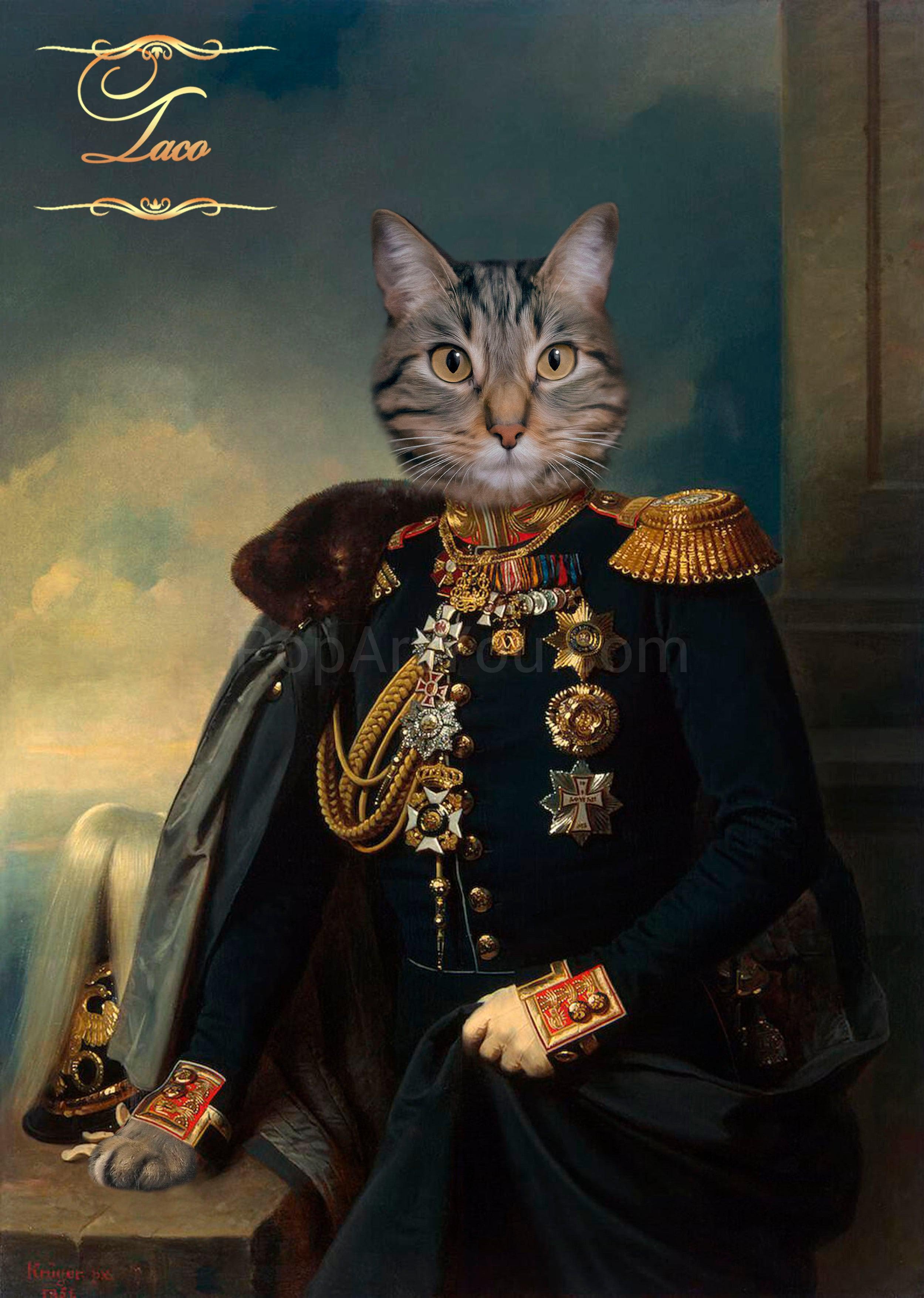 The General-diplomat male cat portrait