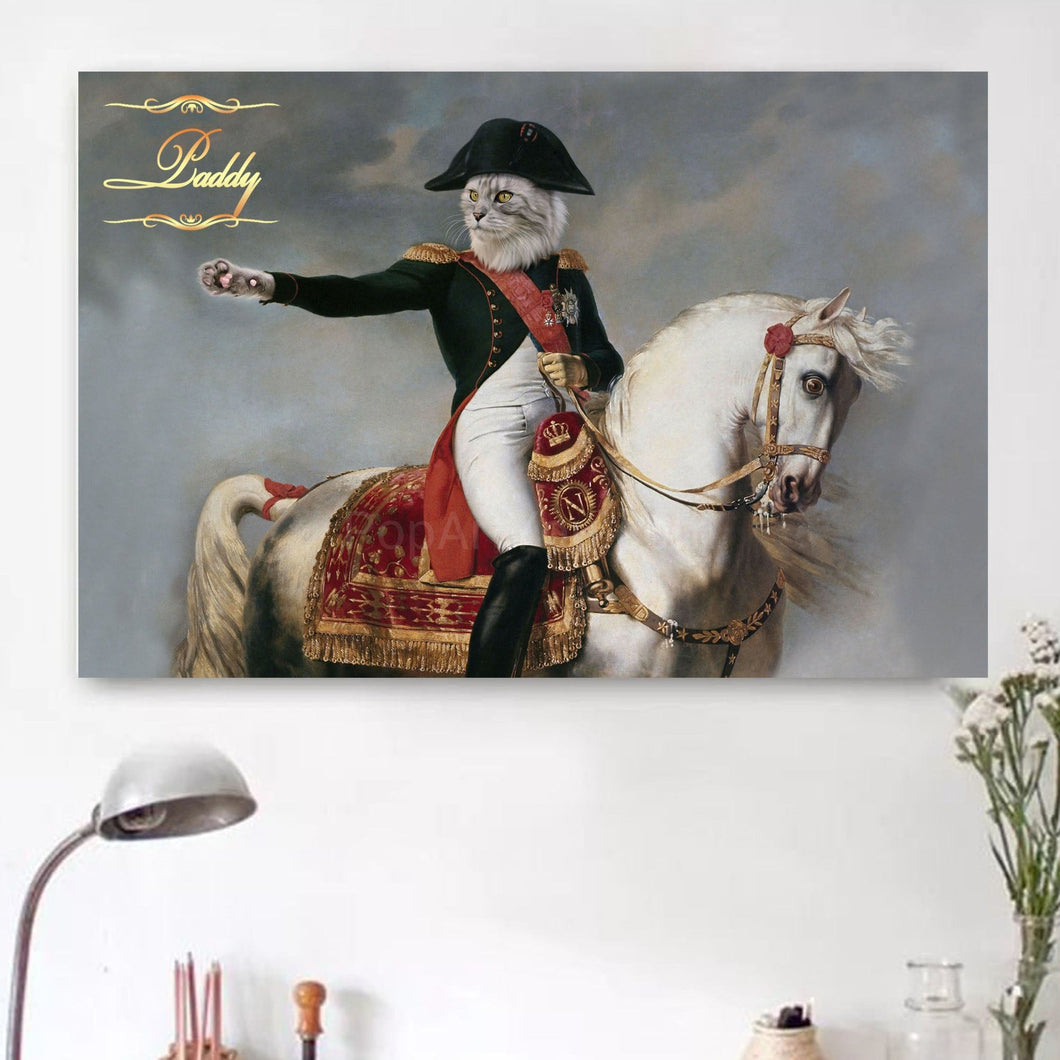 Napoleon on horse male cat portrait