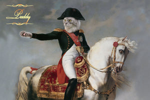 Napoleon on horse male cat portrait