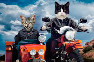 Sidecar motorcycle male pet portrait