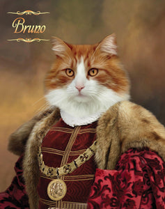The Consul general male cat portrait