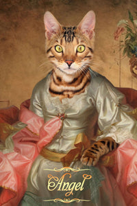 The Countess female cat portrait