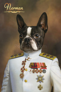 The Soldier male pet portrait