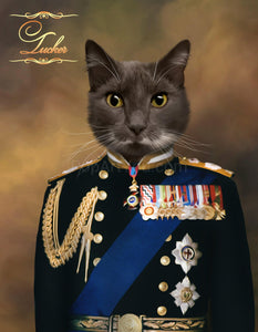 The Veteran - custom cat portrait