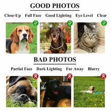 Load image into Gallery viewer, Pet doctor male pet portrait
