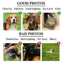 Load image into Gallery viewer, Friends in the garden two pets portrait
