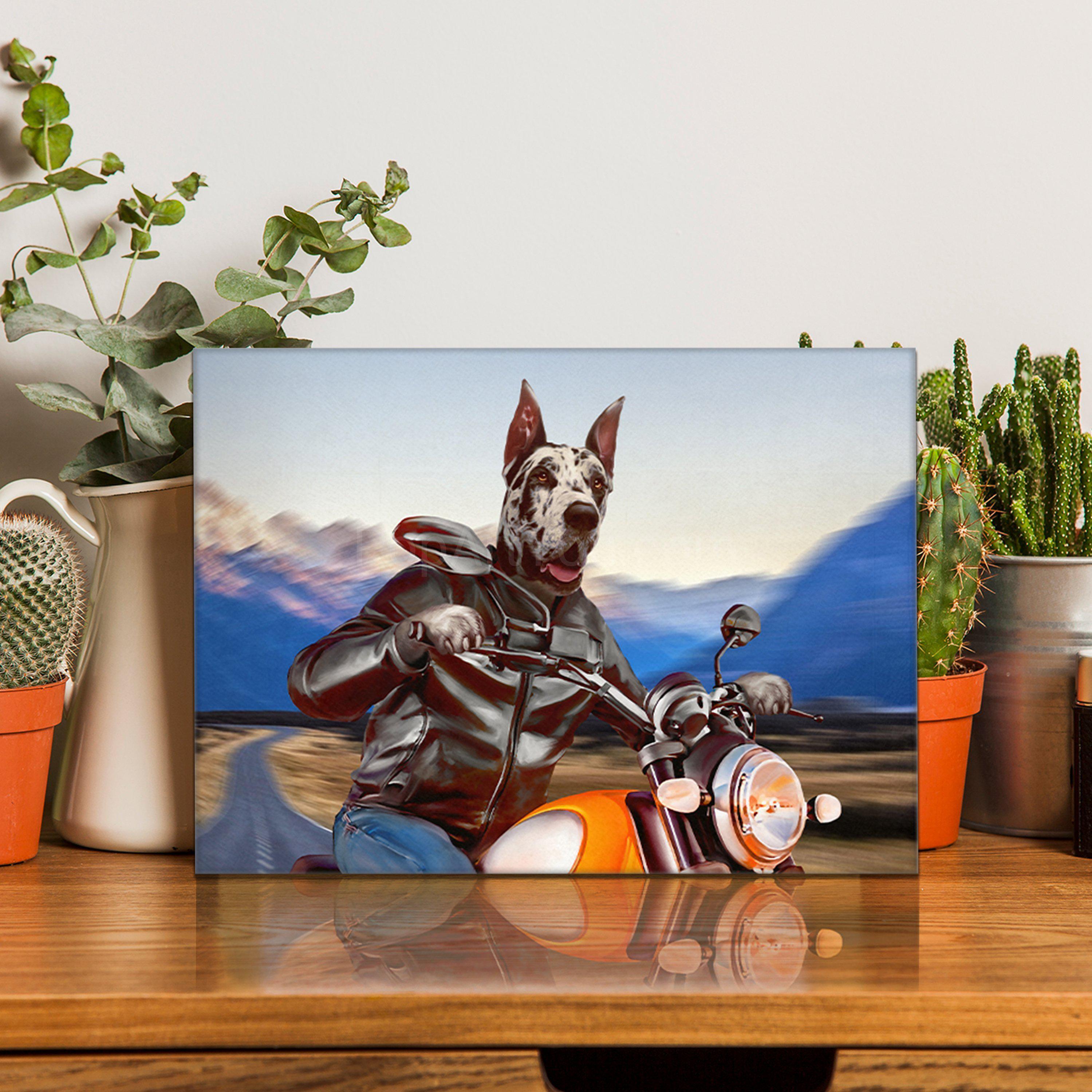 Portrait of a biker dog with a human body riding a motorcycle stands on a wooden table near cacti