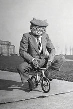 Load image into Gallery viewer, On a small bike retro pet portrait
