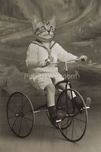 Load image into Gallery viewer, A tricycle retro pet portrait
