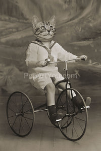 A tricycle retro pet portrait