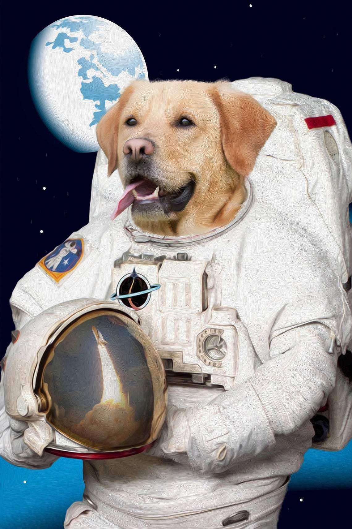 The portrait shows a dog dressed in the white clothes of an American astronaut near the moon