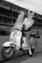 Load image into Gallery viewer, Elegant lady on Italian scooter retro pet portrait
