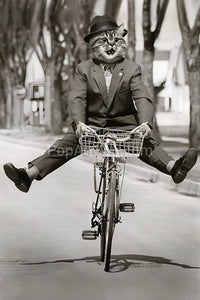 Funny cyclist retro pet portrait