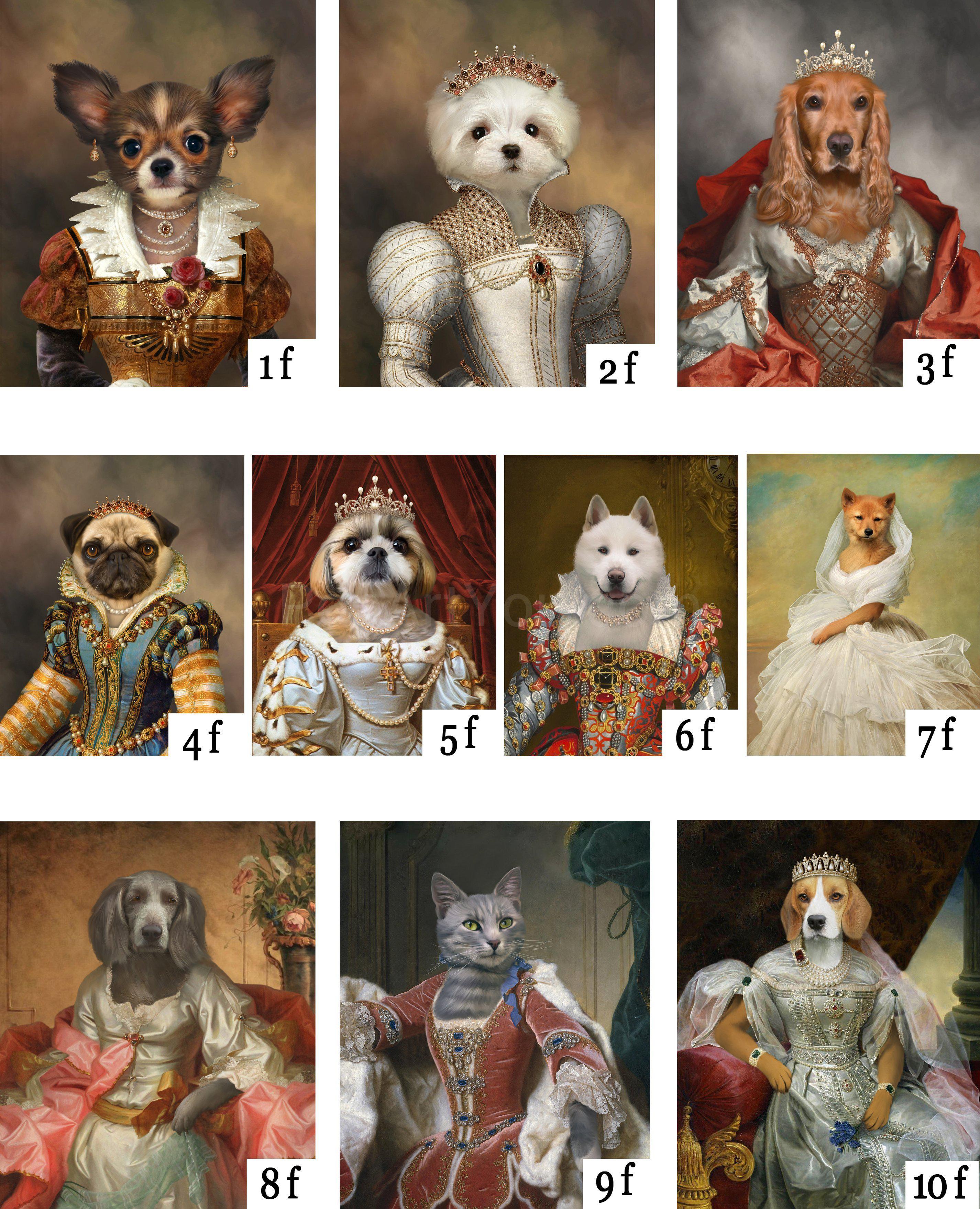 The seventh of many costume combinations for a two pets portrait