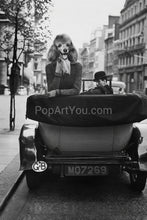 Load image into Gallery viewer, Lady in old cabriolet retro pet portrait
