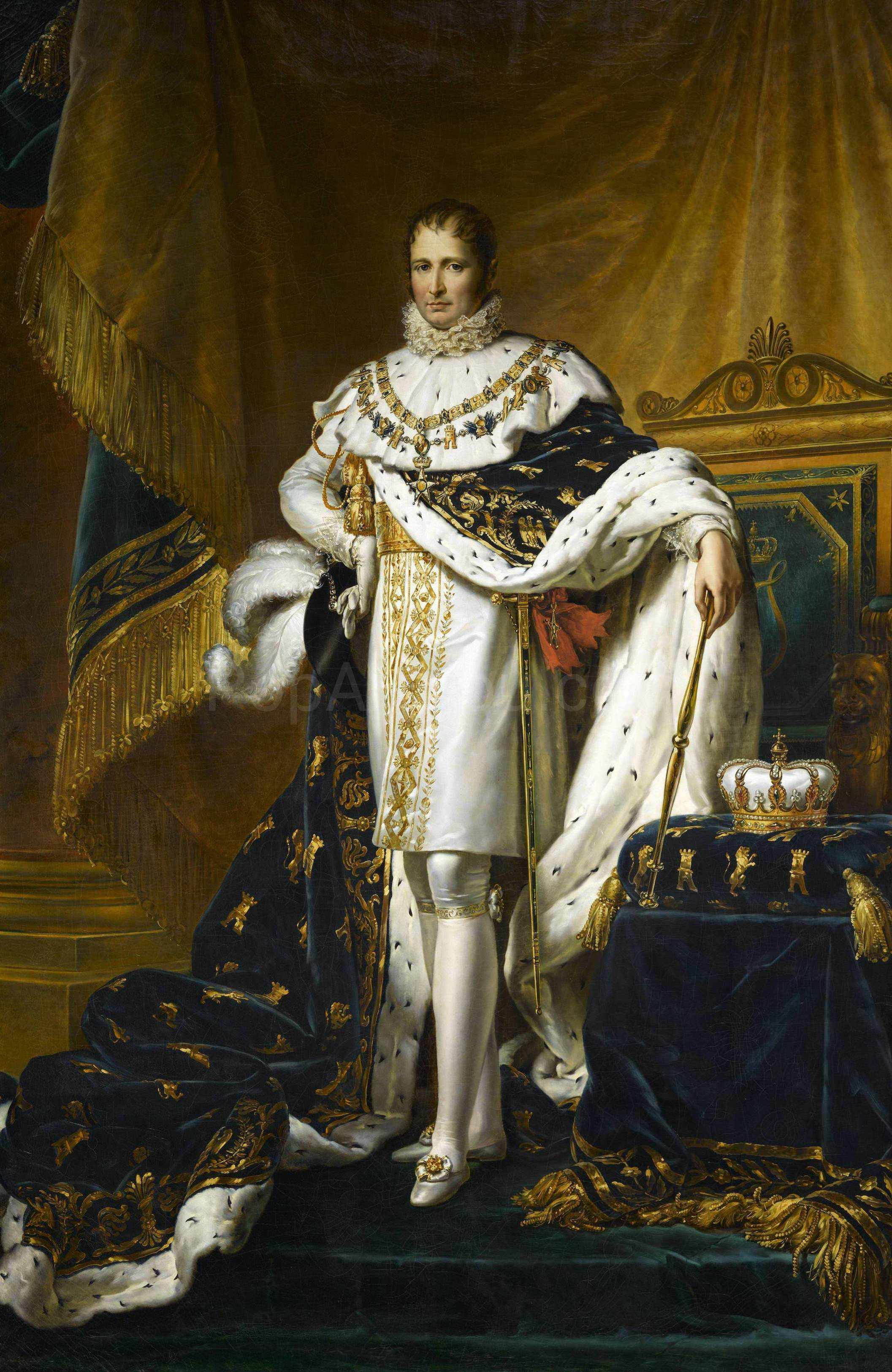 The portrait shows a man standing near the golden curtains dressed in renaissance regal attire