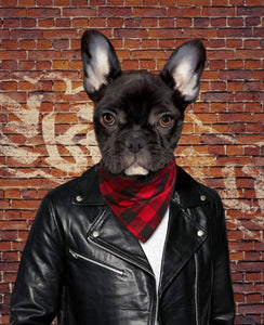 The portrait shows a dog dressed in bad boy clothes standing near a red brick wall