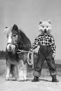 The pony tamer retro pet portrait