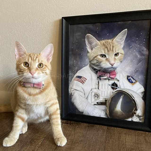 The cat sits beside himself dressed in the white clothes of an American astronaut