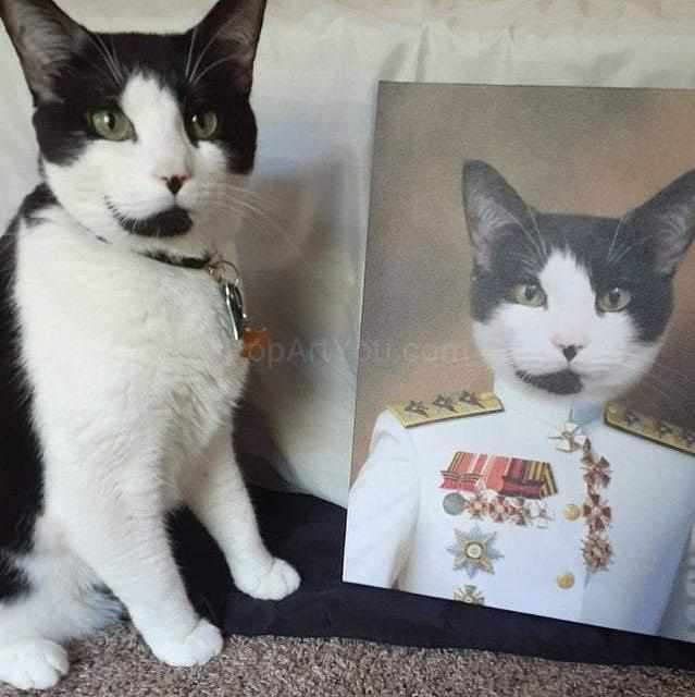 The cat sits near a portrait of himself with a human body dressed in white soldier's clothes