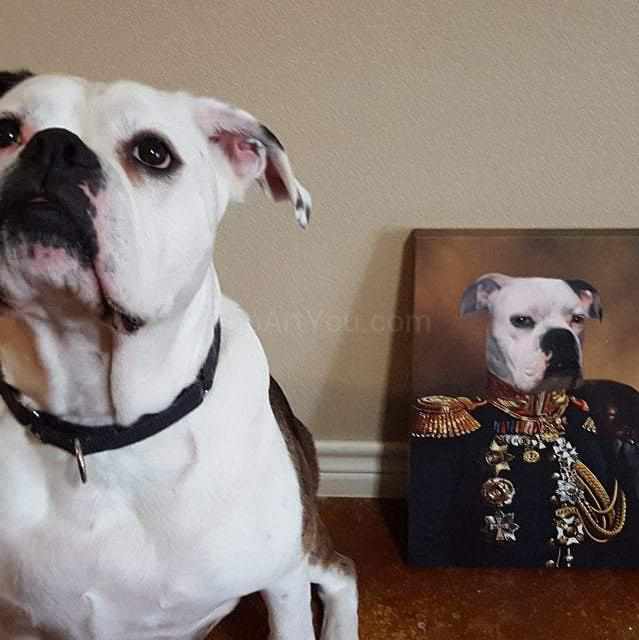 The dog sits next to his portrait on canvas, on which it is depicted in the General attire