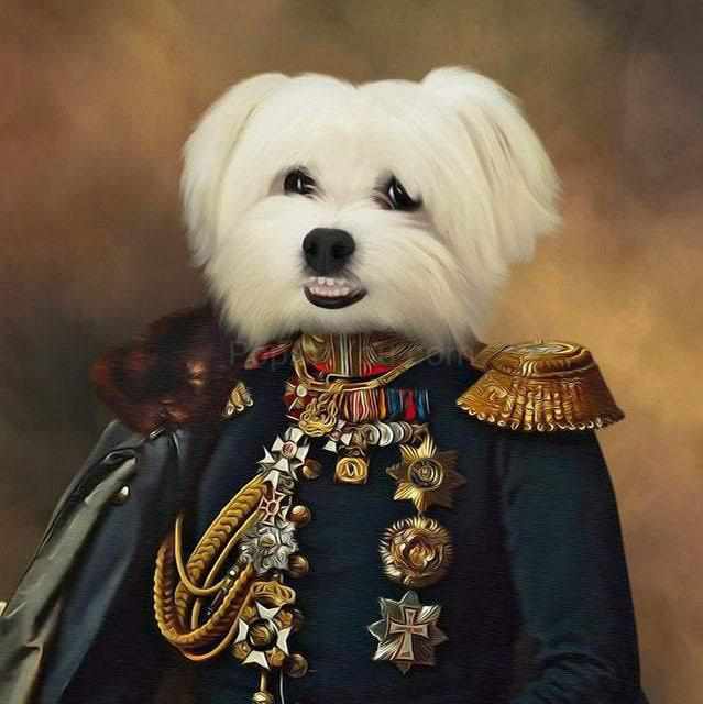 Head of a white dog on a male human body with epaulettes and medals on his suit
